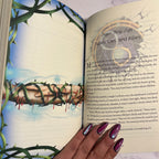 The Cursed Fae Deluxe Paperback