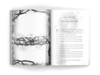 The Cursed Fae Book Box