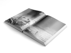 The Cursed Fae Book Box