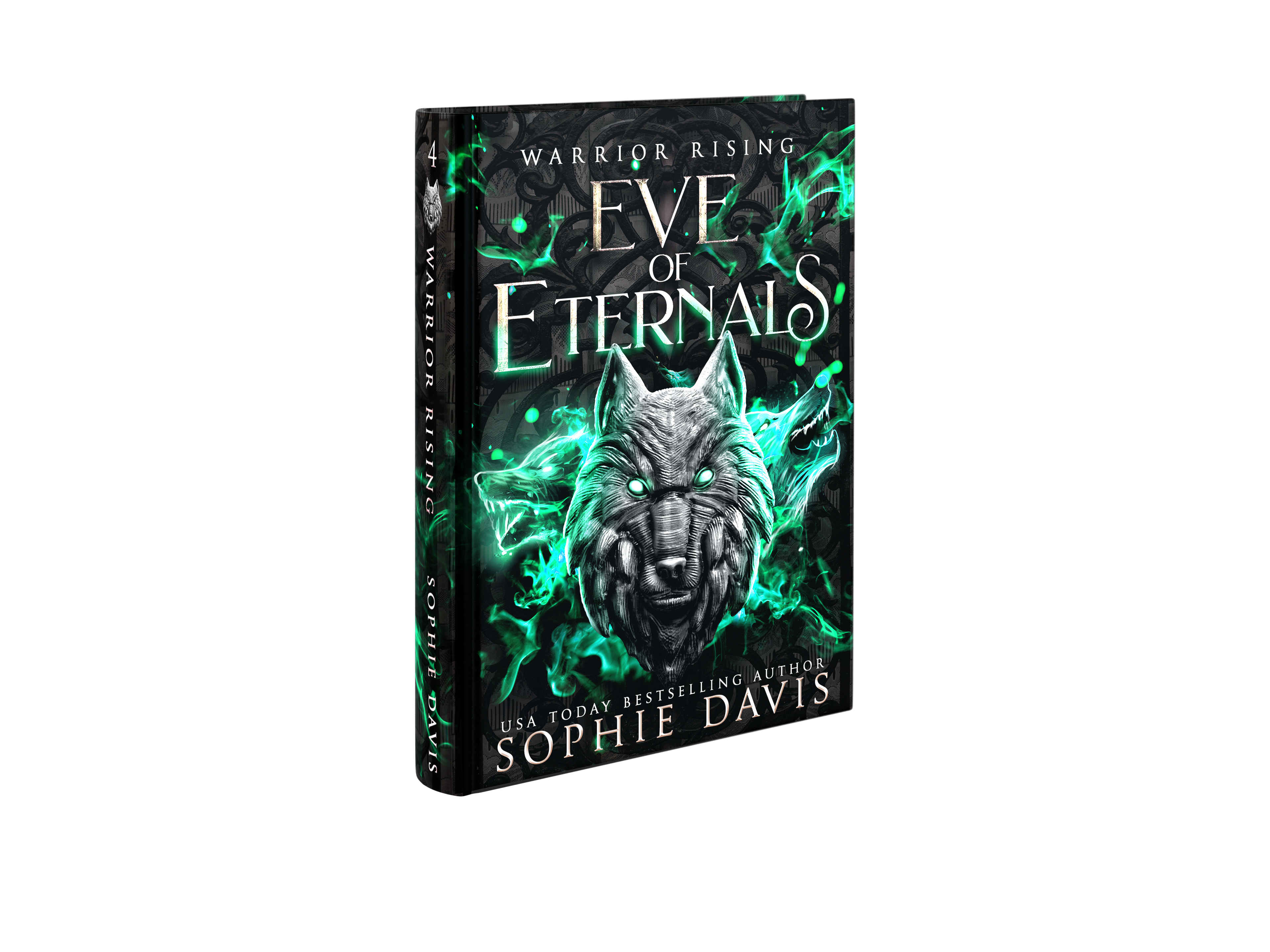 Warrior Rising Deluxe Paperback