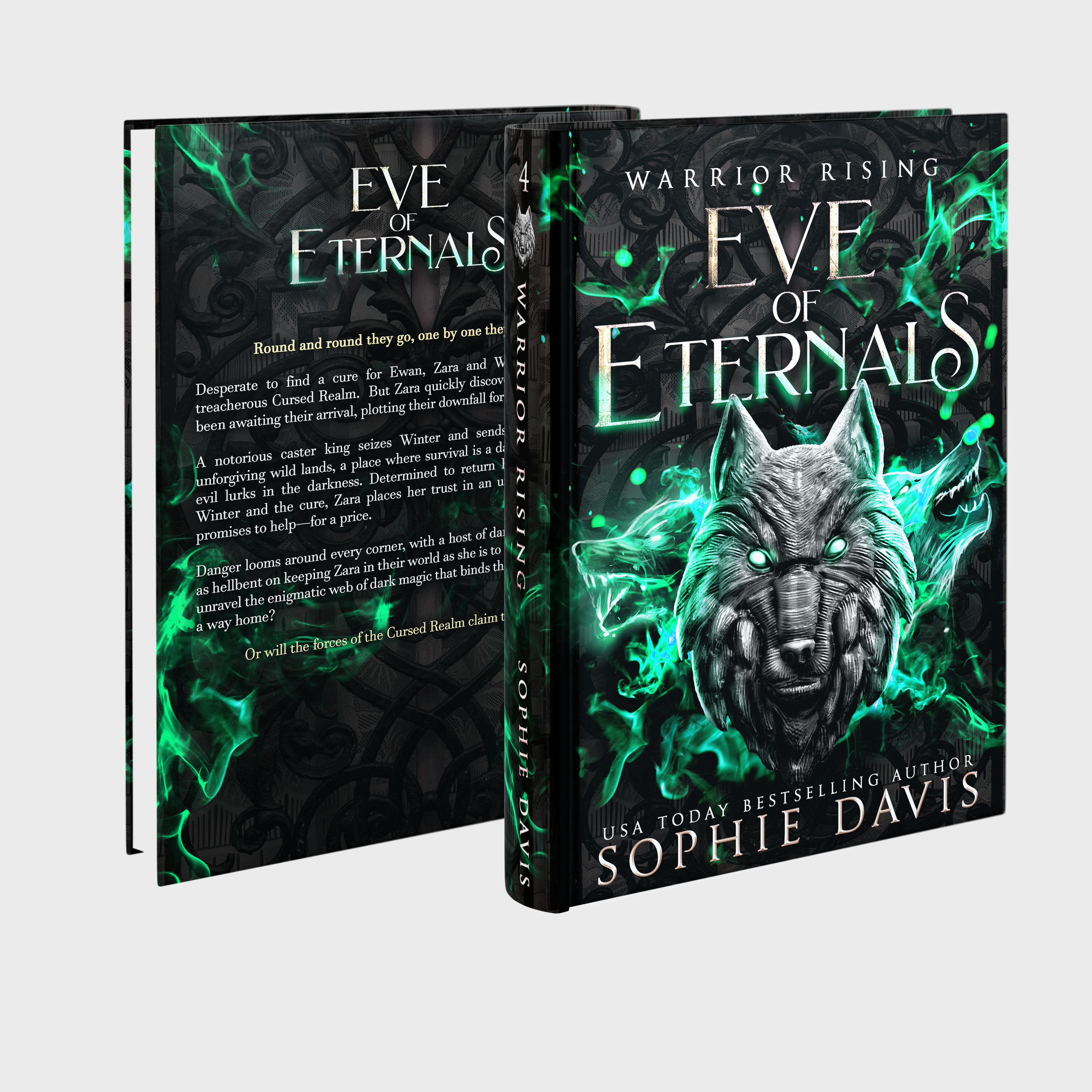 Warrior Rising Deluxe Paperback