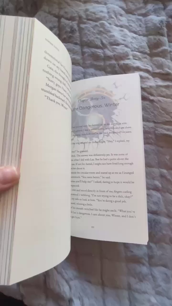 Ultimate Holiday Book Box