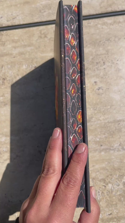 The Lost Pack Luxe Special Edition