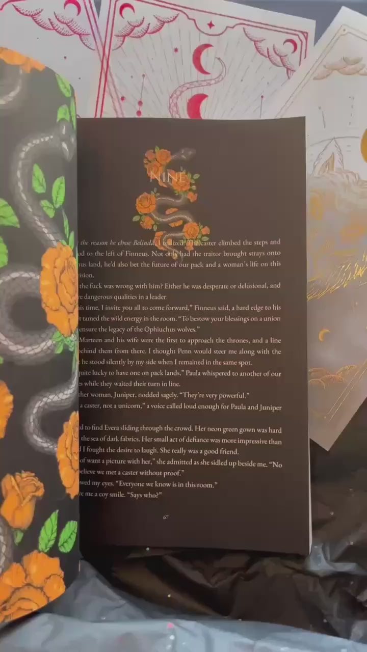 Ultimate Holiday Book Box