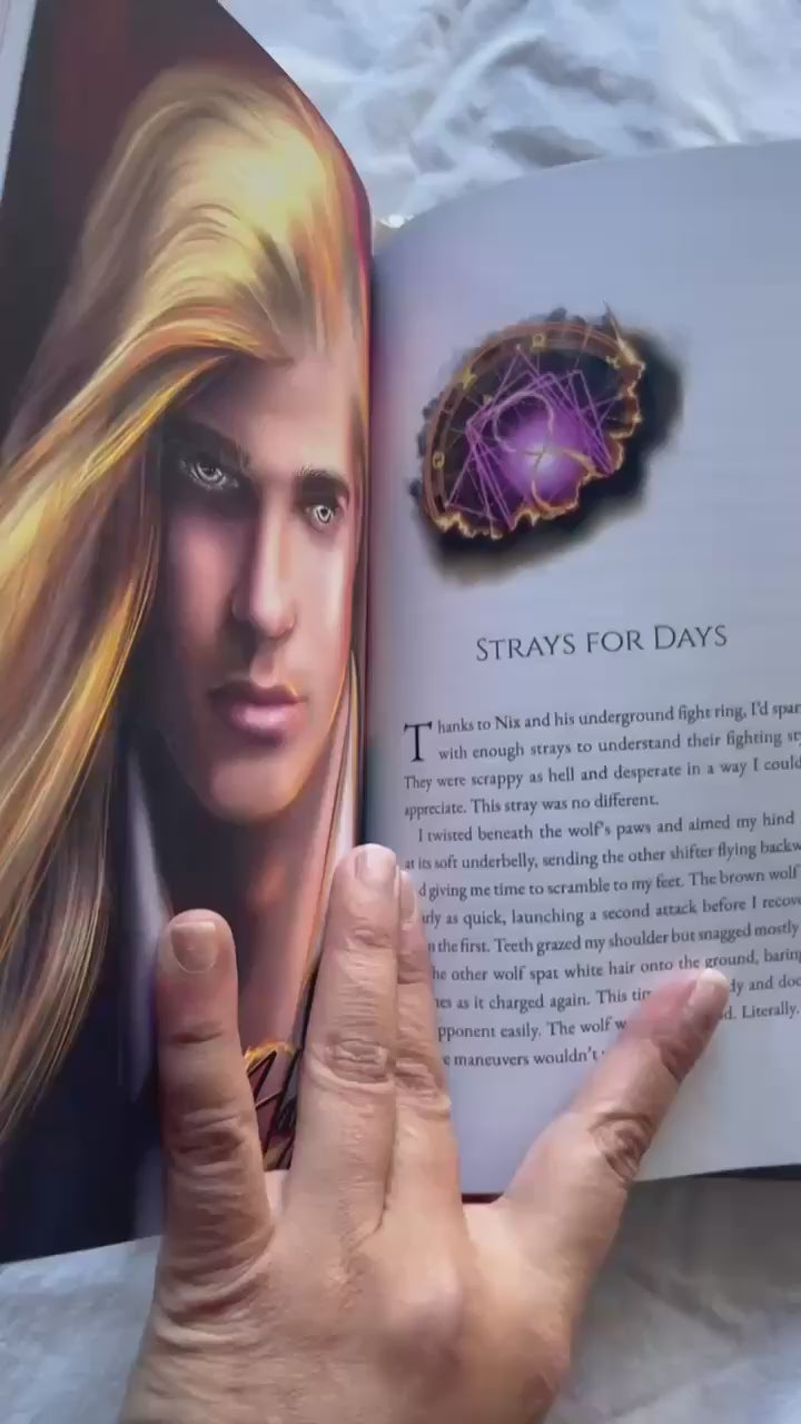 Ultimate Holiday Book Box