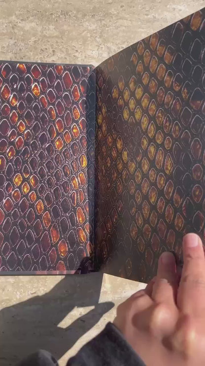 The Lost Pack Luxe Special Edition